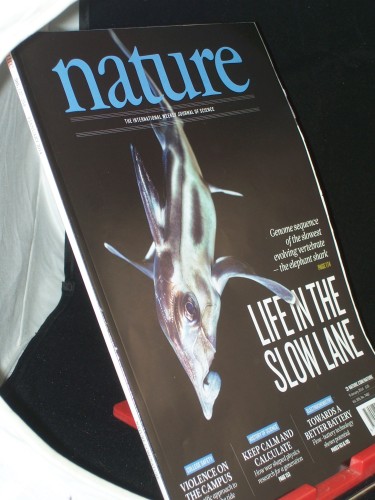 Artikelbild des Artikels “Vol 505, No. 7482, Januar 2014, Life in the slow Lane “
