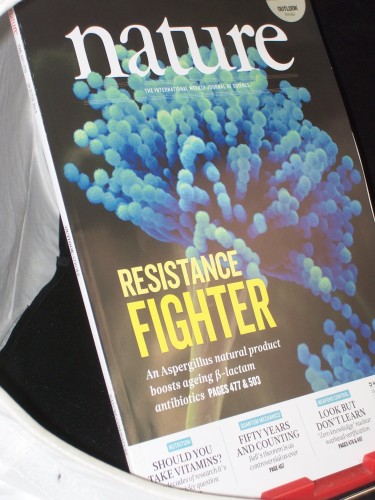 Artikelbild des Artikels “Vol 510, No. 7506, Juni, 2014, Resistance Fighter “