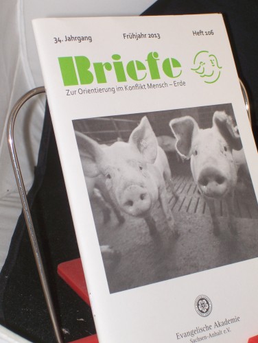 Artikelbild des Artikels “Frühjahr 2013 “