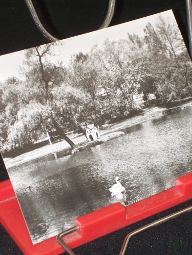 Product image of the product “Kurbad Bad Lausick, Am Schwanenteich ”
