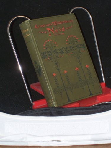 Artikelbild des Artikels “Neid. Eine Erzählung von Ernst von Wildenbruch “