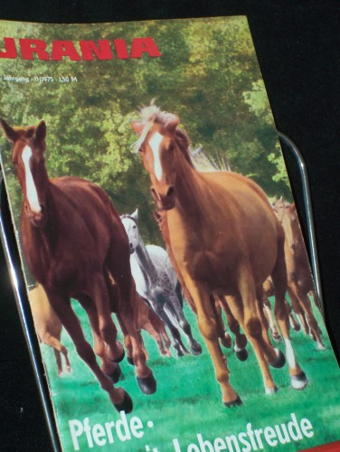 Artikelbild des Artikels “11/1975, Pferde, Freizeit, Dipl.-Ing. W.-D. Wegner Dr. H.- I. Röhr F.
J. Herrmann ; Ing. G. Gnauck R. Dietrich Dipl.-Gartenbauing. T. Wengel
Prof. Dr. Schwork Dr. H. Kresse Prof. Dr. S. Bock Prof. Dr. A.
Katzenstein Dr. H. Stürz U. Makosch “