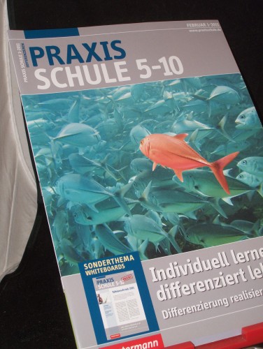 Artikelbild des Artikels “1/2011, Individuell lernen, differenziert lehren “