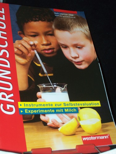 Artikelbild des Artikels “1/2008, Instrumente zur Selbstevaluation “