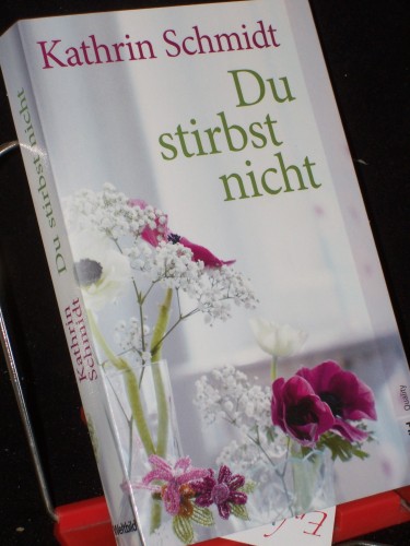 Artikelbild des Artikels “Du stirbst nicht : Roman / Kathrin Schmidt “