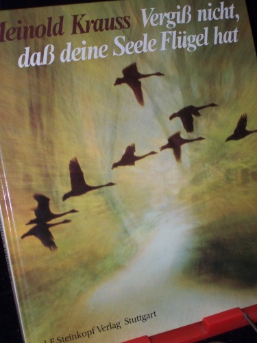 Artikelbild des Artikels “Vergiss nicht, dass deine Seele Flügel hat / Texte von Meinold Krauss
zu Bildern von Ernst Kirschner “