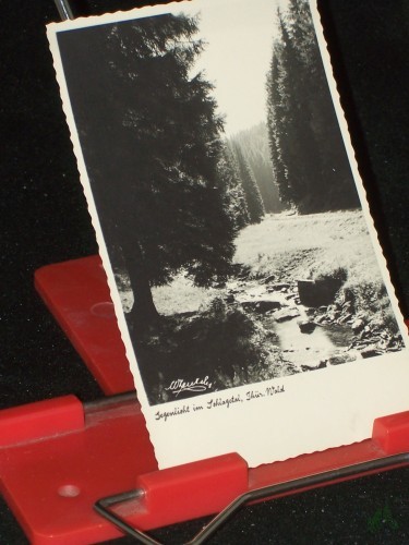 Product image of the product “Gegenlicht im Schlagetal Thüringer Wald ”