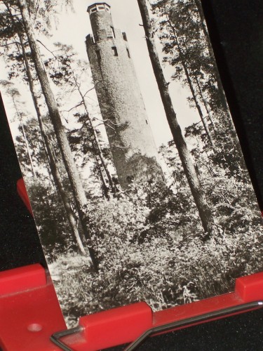 Artikelbild des Artikels “Gneisenhauptstadt SCHILDAU, Schildbergturm, Foto: Kühn “