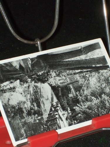 Product image of the product “Spreewald im schönen Lehde ”