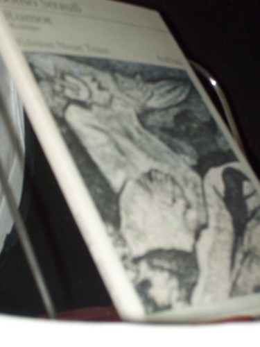 Artikelbild des Artikels “Rumor : Roman / Botho Strauss “