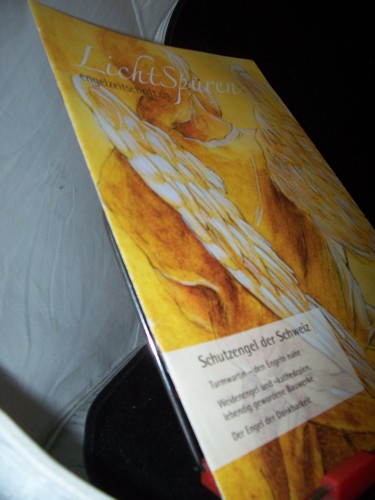 Artikelbild des Artikels “2/2014 Schutzengel der Schweiz “