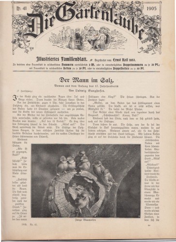 Artikelbild des Artikels “41/1905 “