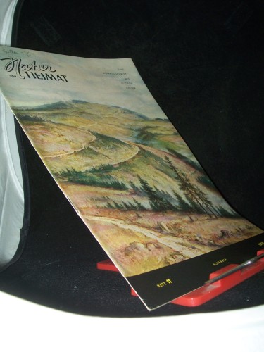 Artikelbild des Artikels “11/1955 “