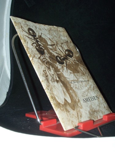 Artikelbild des Artikels “Ameisen / Otto Scheerpeltz. Mit 17 Aufn. des Verf “