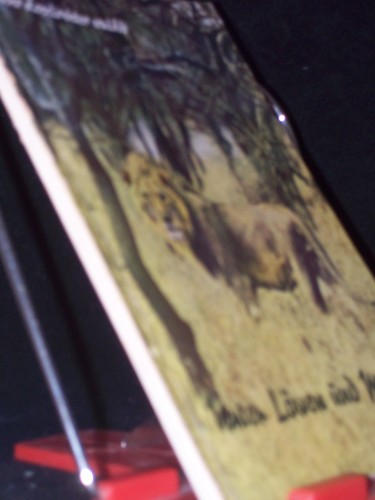 Artikelbild des Artikels “Unter Löwen und Massai “