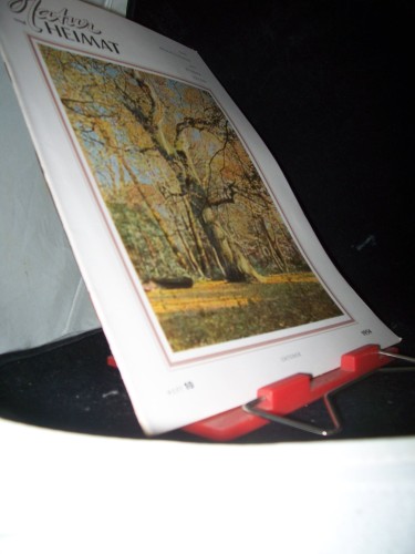 Artikelbild des Artikels “10/1954 “