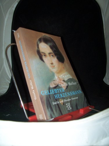 Artikelbild des Artikels “