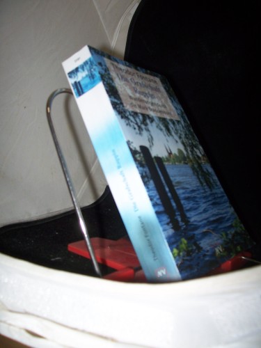 Artikelbild des Artikels “Die Grafschaft Ruppin / Theodor Fontane. Hrsg. von Gotthard Erler und Rudolf Mingau “