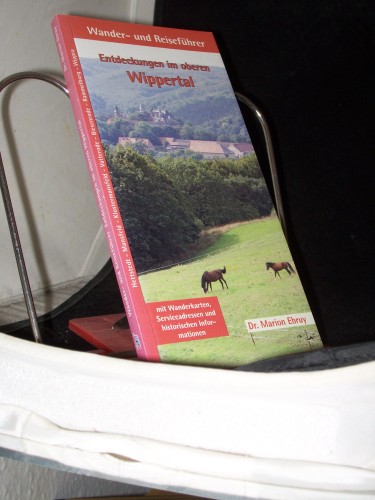 Artikelbild des Artikels “Entdeckungen im oberen Wippertal : [Hettstedt - Mansfeld -
Klostermansfeld - Vatterode - Biesenrode - Rammelburg - Wippra ; mit
Wanderkarten, Serviceadressen und historischen Informationen] / von
Marion Ebruy “