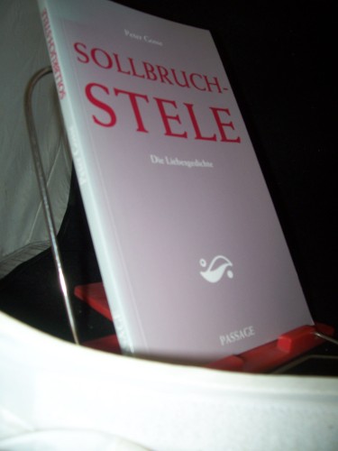 Artikelbild des Artikels “Sollbruch-Stele : die Liebesgedichte / Peter Gosse “