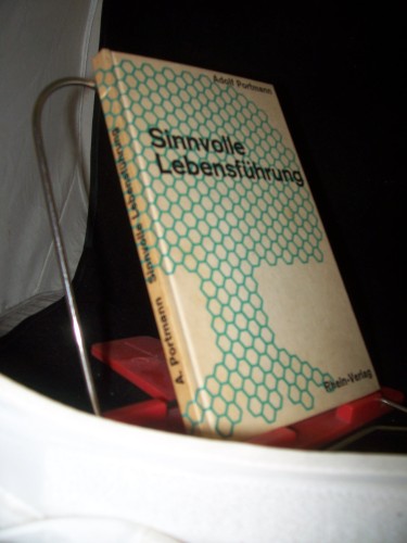 Artikelbild des Artikels “Sinnvolle Lebensführung / Adolf Portmann “