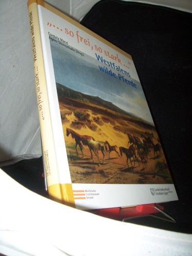 Artikelbild des Artikels “