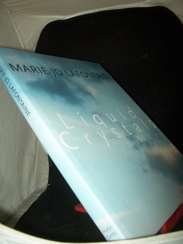 Artikelbild des Artikels “Marie-Jo Lafontaine : Liquid crystals ; [zur Ausstellung Liquid
Crystals, vom 4. Juli bis 12. September 1999 im Institut
Mathildenhöhe Darmstadt und in der Deutsche Bank S.A. Luxembourg vom
23. März bis 16. Juni 2000] / hrsg. von Klaus Wolb “