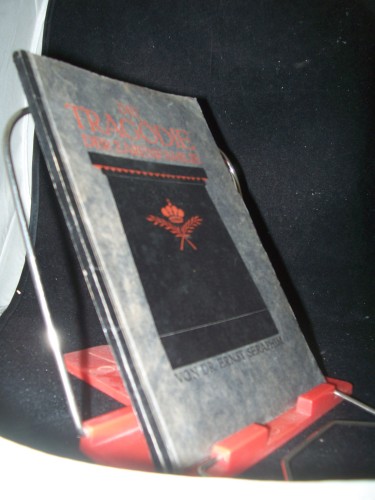 Artikelbild des Artikels “Die Tragödie der Zarenfamilie / Ernst Seraphim “