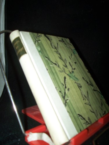 Artikelbild des Artikels “Der Seelenvogel : Die Gesch. e. Widmungsexemplars / wiedererzählt von Fedor von Zobeltitz. [Adelheid Schimz zeichn. d. Titel u. d. 25 Textbilder] “