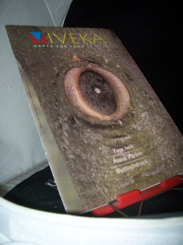 Artikelbild des Artikels “Nr. 40, 2007, Yoga heilt “