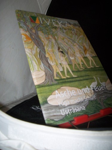 Artikelbild des Artikels “53/2014 Persönlichkeit bilden Asche und Feuer – Yogatradition im
Umbruch Serie Āsana – uṣṭrāsana “