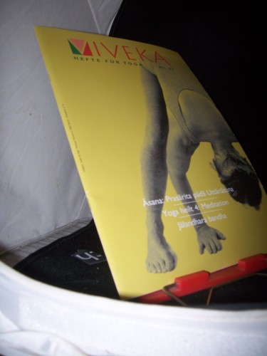 Artikelbild des Artikels “43/2008 Serie Āsana – prasārita pāda uttānāsana Yoga heilt –
Teil 4 – Meditation Jālandara bandha “