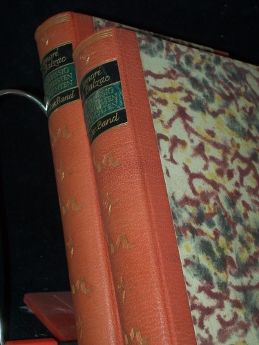 Artikelbild des Artikels “Die dreissig tolldreisten Geschichten : [2 Bände] / Honoré de
Balzac. Mit 425 [eingedr.] Holzschn. nach Zeichn. von Gustave Doré.
[Übertr. von Benno Rüttenauer] “