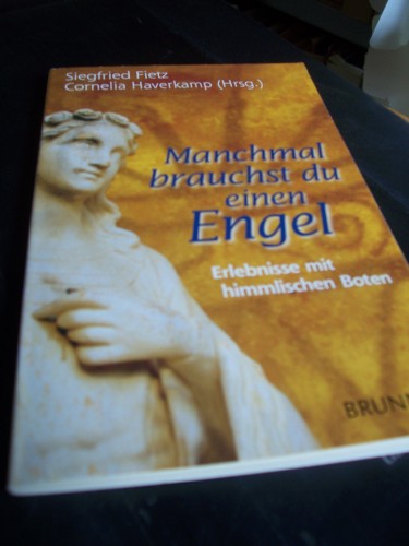 Artikelbild des Artikels “Manchmal brauchst du einen Engel : Erlebnisse mit himmlischen Boten / Siegfried Fietz/Cornelia Haverkamp (Hrsg.) “