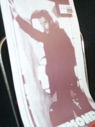 Artikelbild des Artikels “Nr. 8574, Februar 1987, Blutmond “