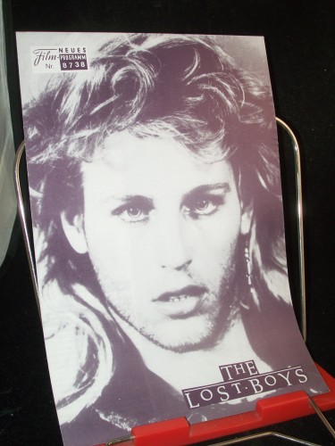 Artikelbild des Artikels “Nr. 8738 The Lost Boys “