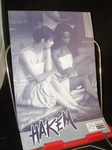 Artikelbild des Artikels “Nr. 8736 HAREM “