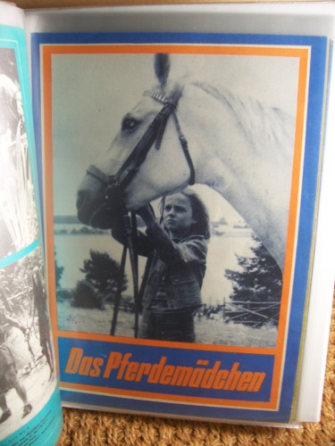 Artikelbild des Artikels “18/1979 Das Pferdemädchen “