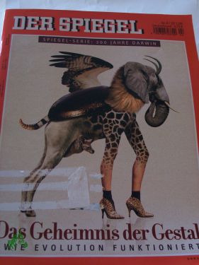 Artikelbild des Artikels “Das Geheimnis der Gestalt “