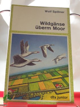 Artikelbild 1 des Artikels “Wildgänse überm Moor / Wolf Spillner “