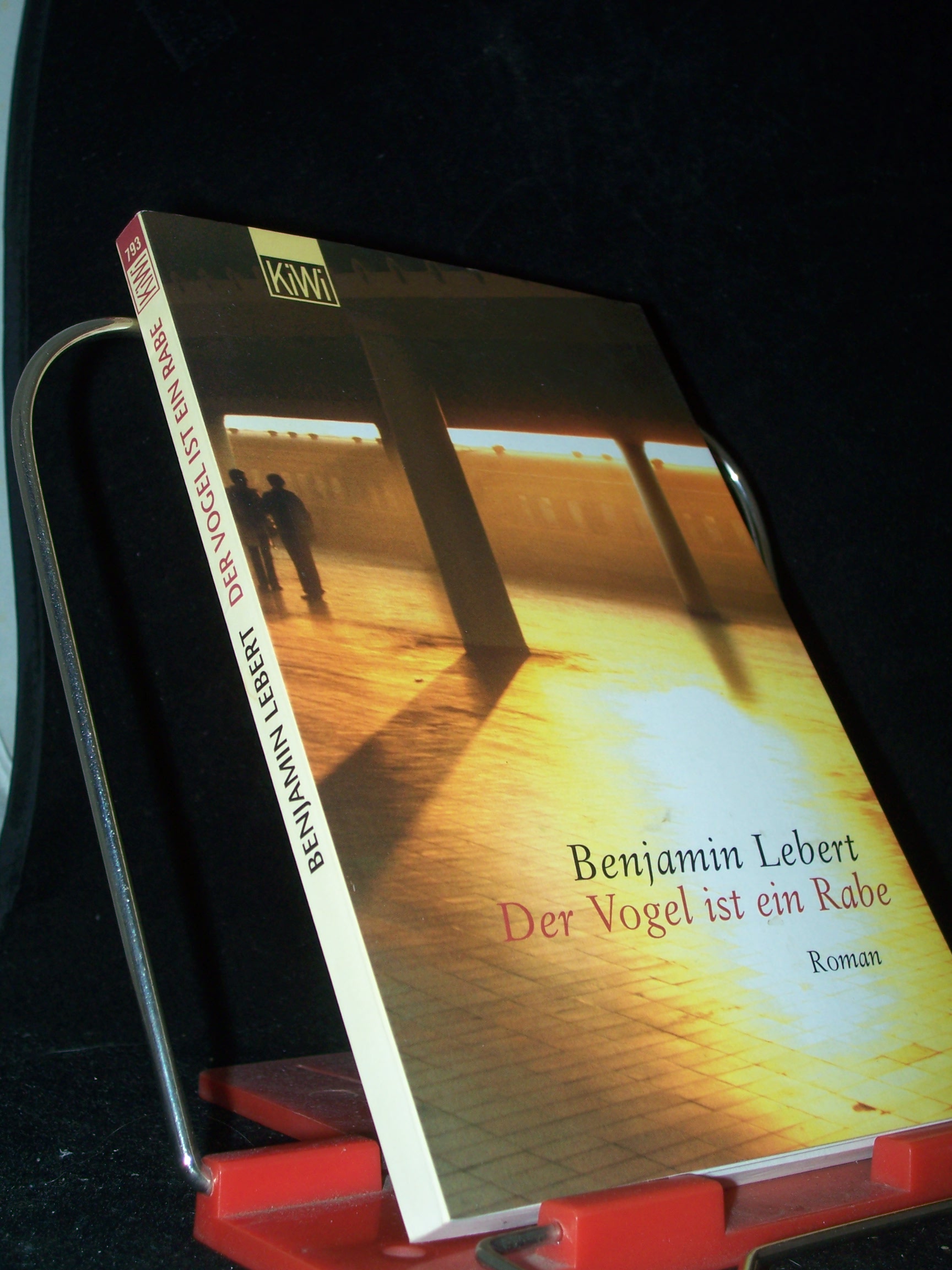 Artikelbild 1 des Artikels “Der Vogel ist ein Rabe : Roman / Benjamin Lebert “
