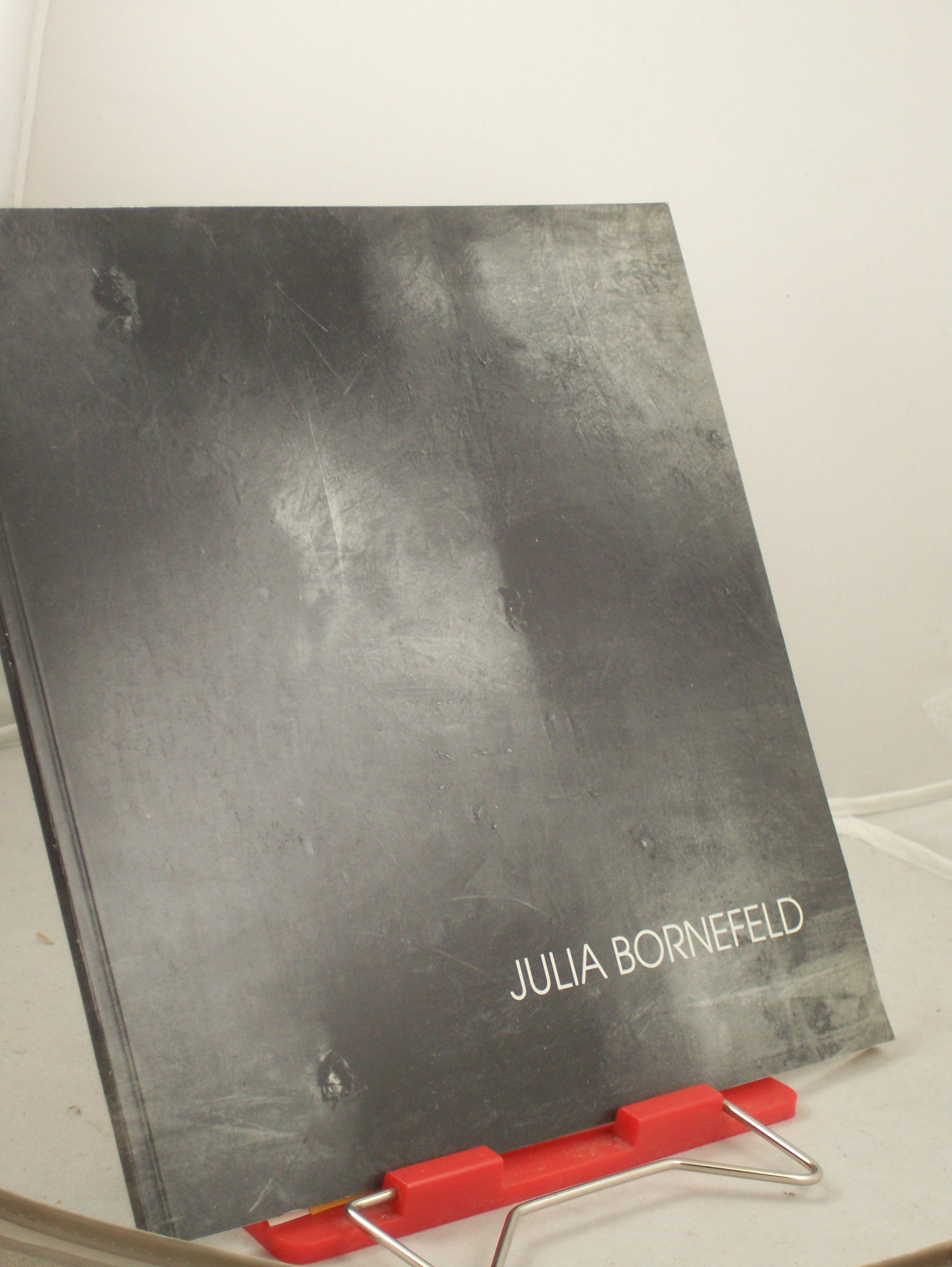 Artikelbild 1 des Artikels “Julia Bornefeld, zur Verleihung des Kunstpreises des Landes Schleswig
Holstein 1990 “