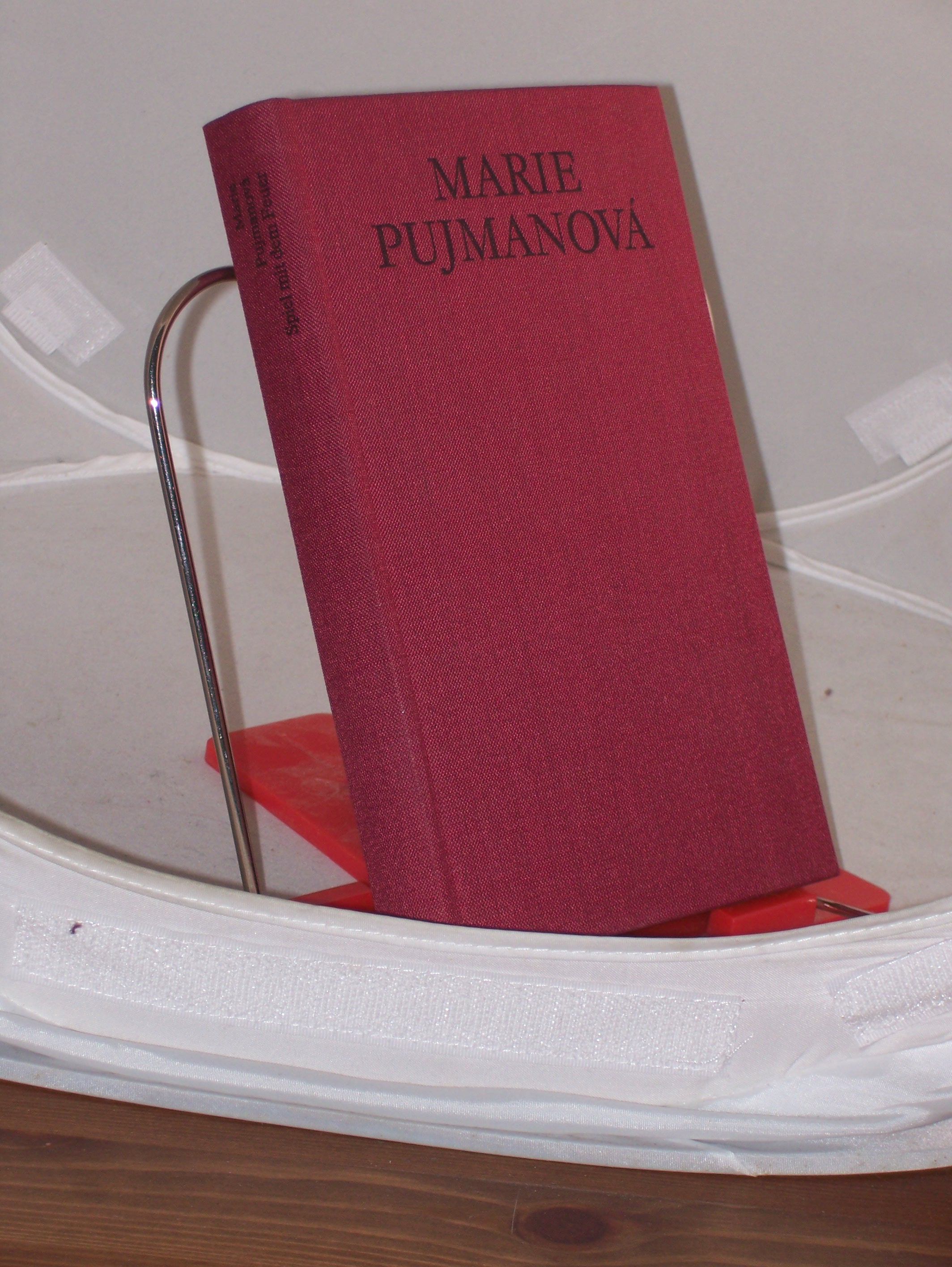 Artikelbild 1 des Artikels “Spiel mit dem Feuer : Roman / Marie Pujmanova. Aus d. Tschech. von Günter Jarosch “