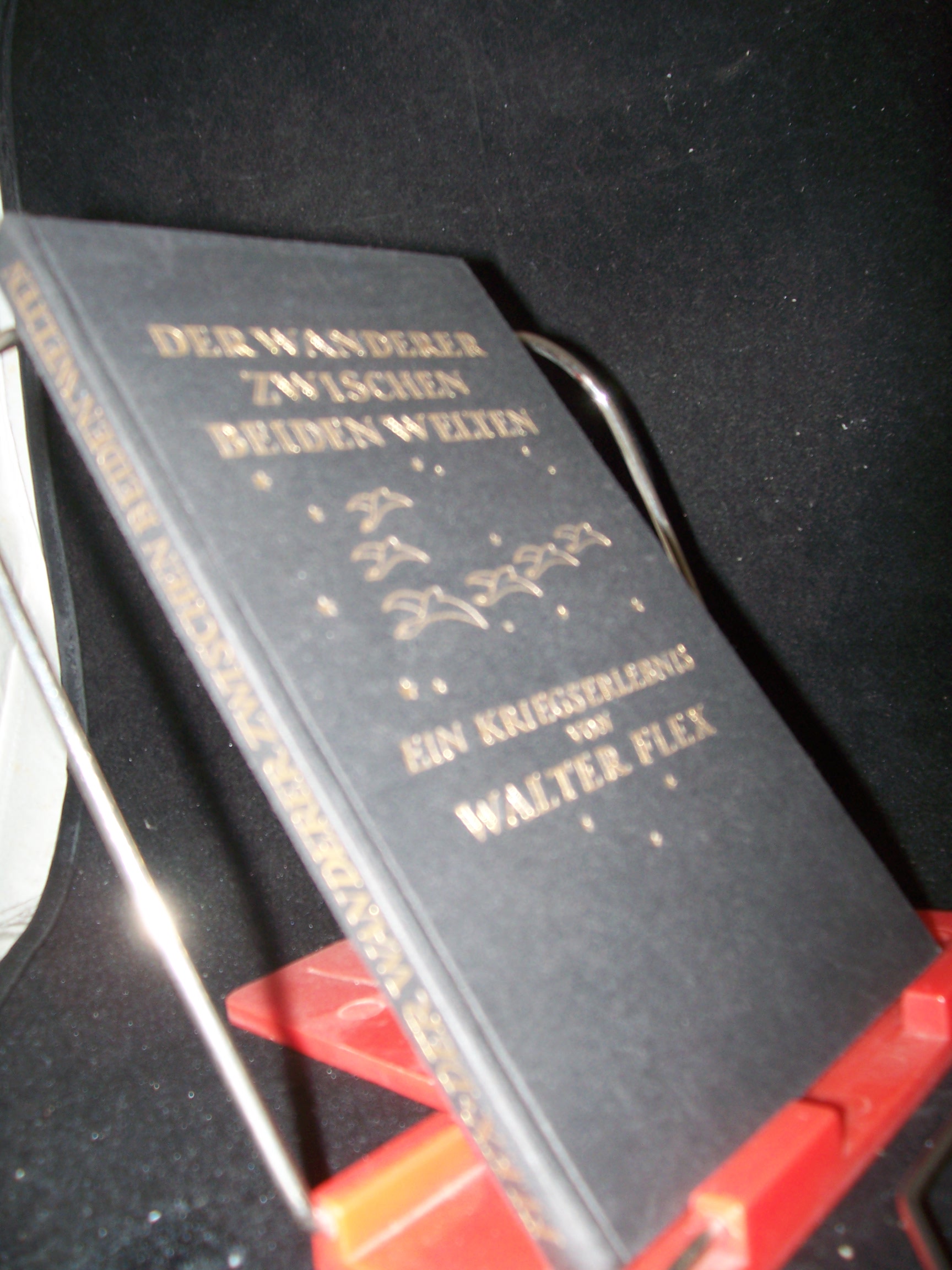 Artikelbild 1 des Artikels “Der Wanderer zwischen beiden Welten : ein Kriegserlebnis / von Walter
Flex “