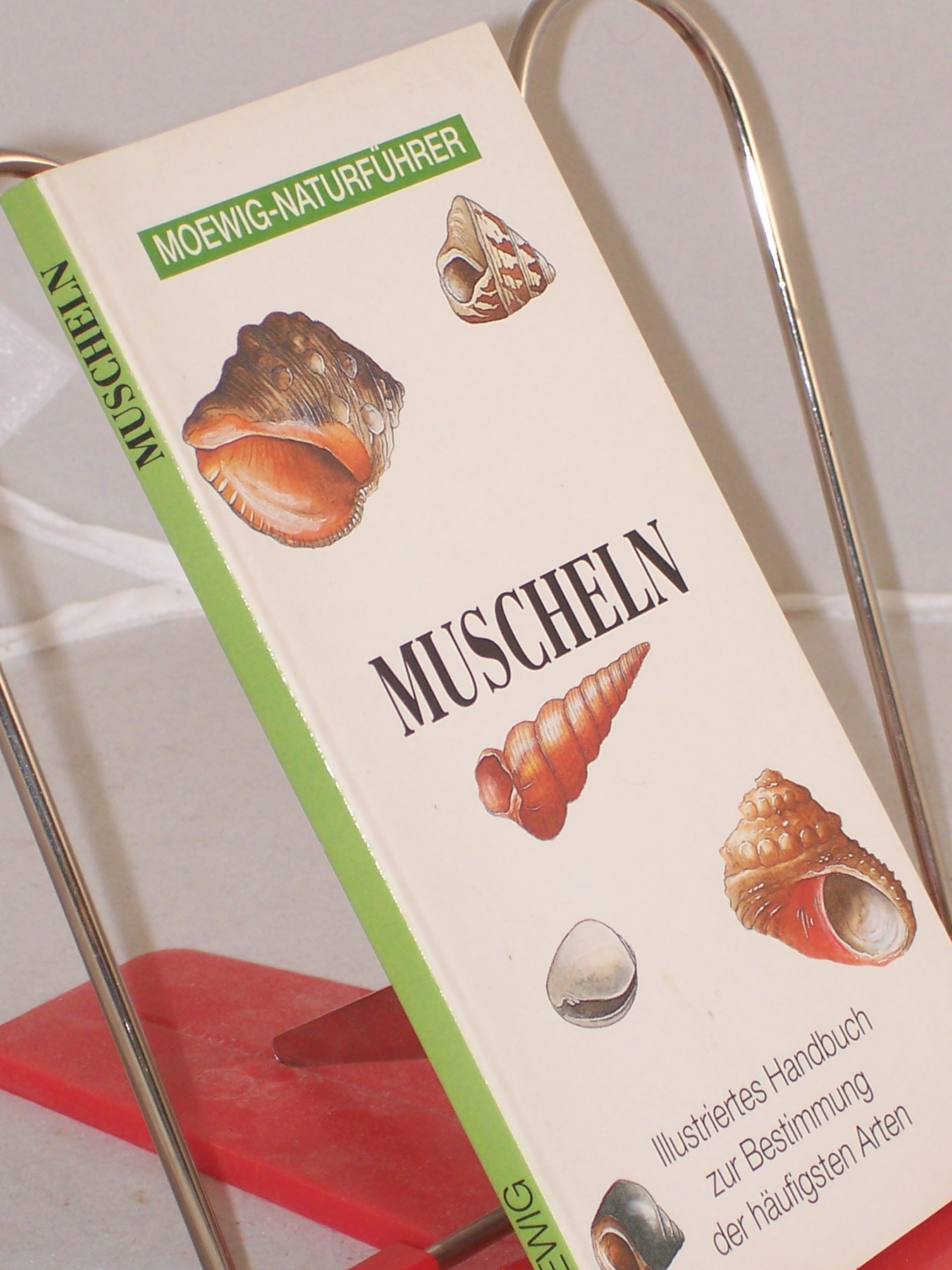 Artikelbild 1 des Artikels “Moewig-Naturführer - Muscheln “