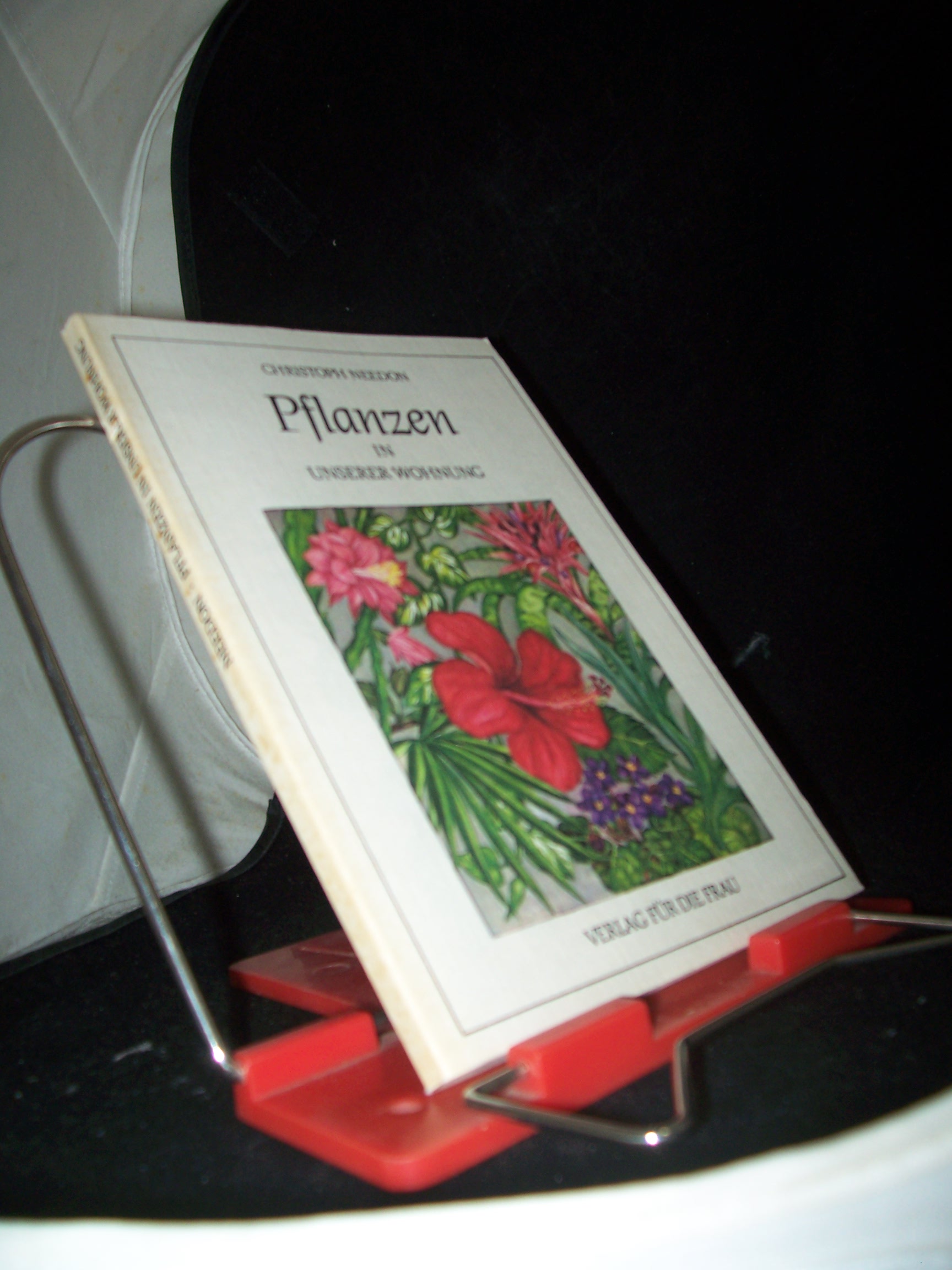 Artikelbild 1 des Artikels “Pflanzen in unserer Wohnung / Christoph Needon “