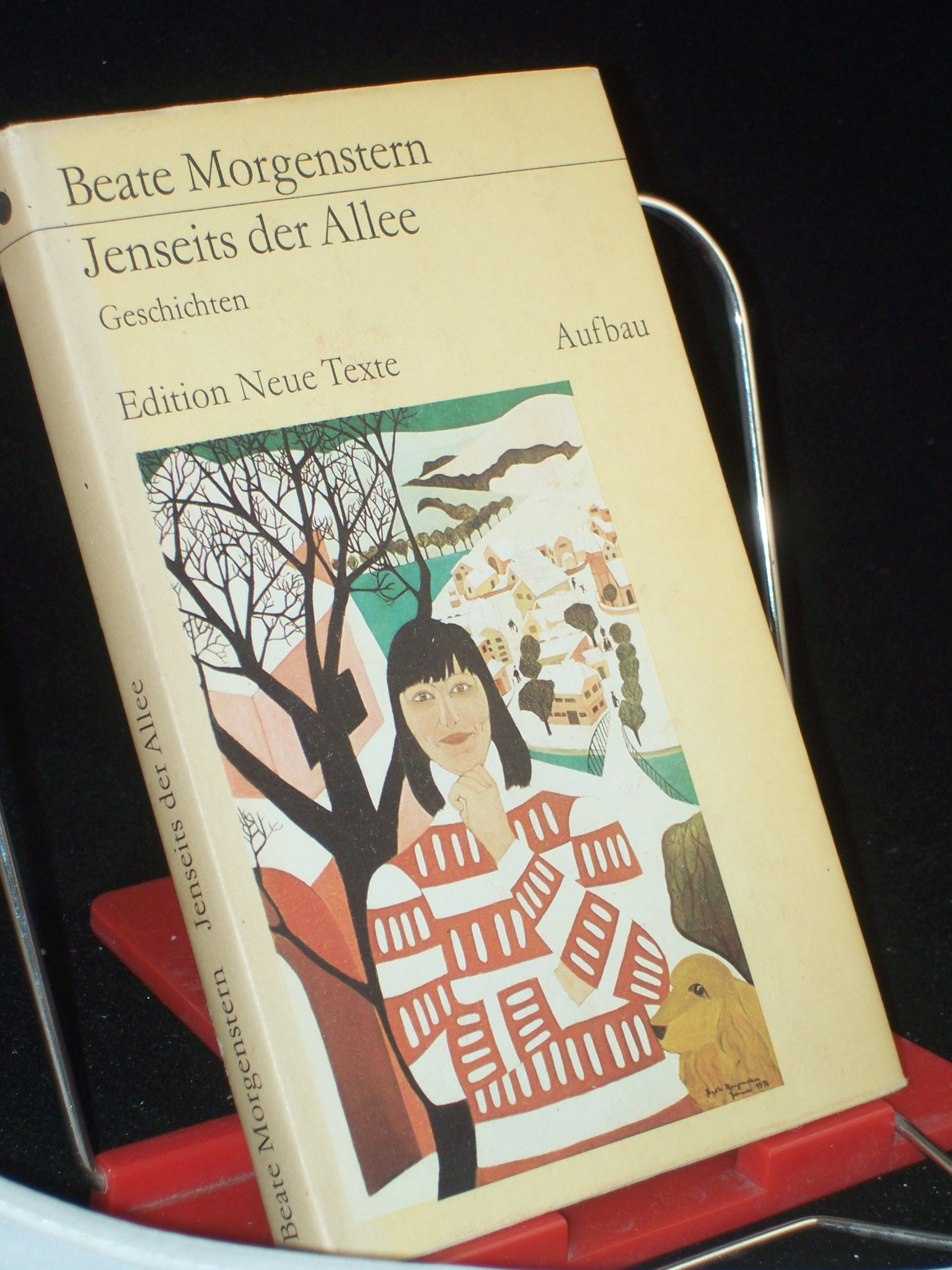 Artikelbild 1 des Artikels “Jenseits der Allee : Geschichten / Beate Morgenstern “