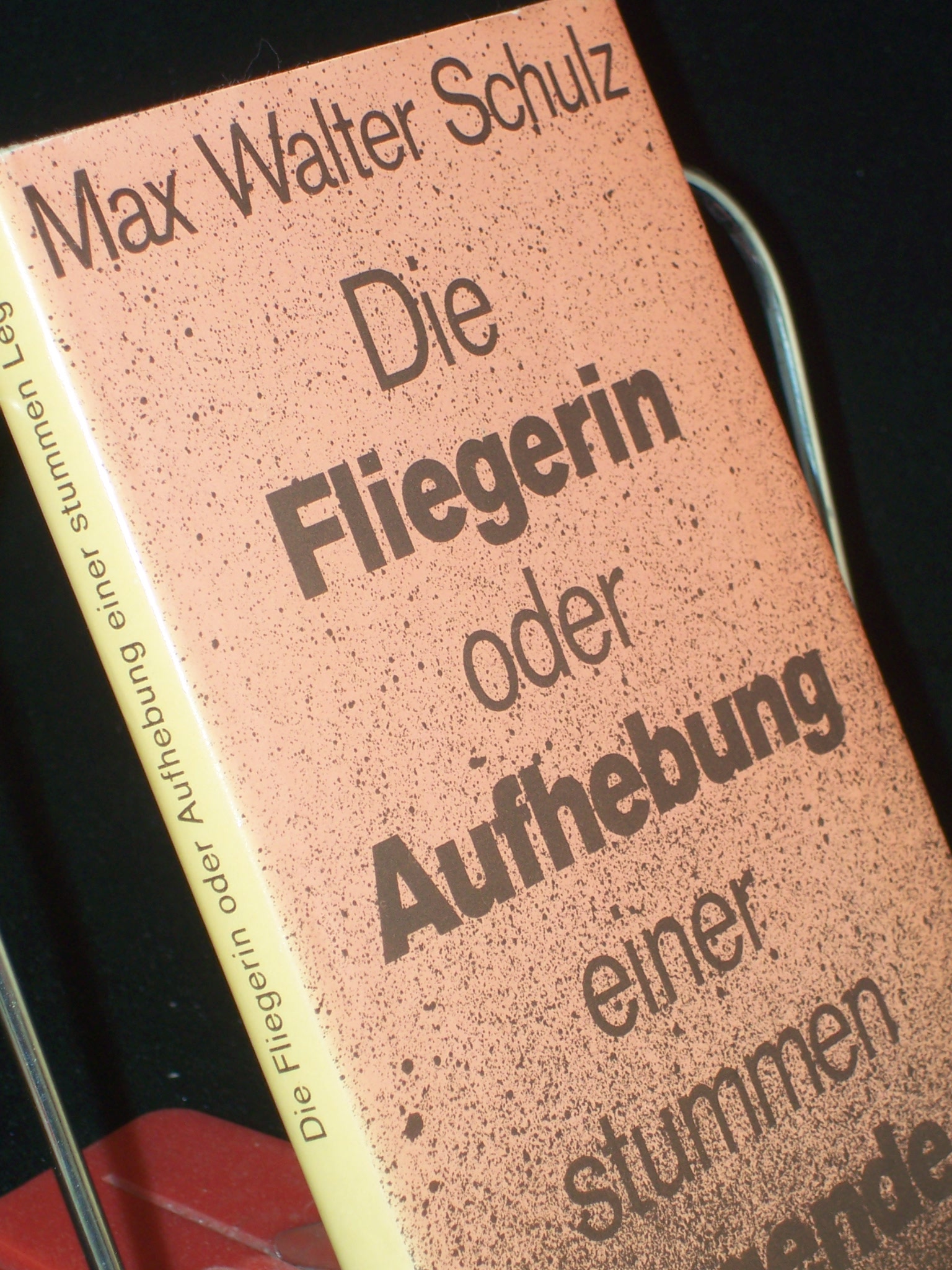 Artikelbild 1 des Artikels “Die Fliegerin oder Aufhebung einer stummen Legende : Novelle / Max
Walter Schulz “