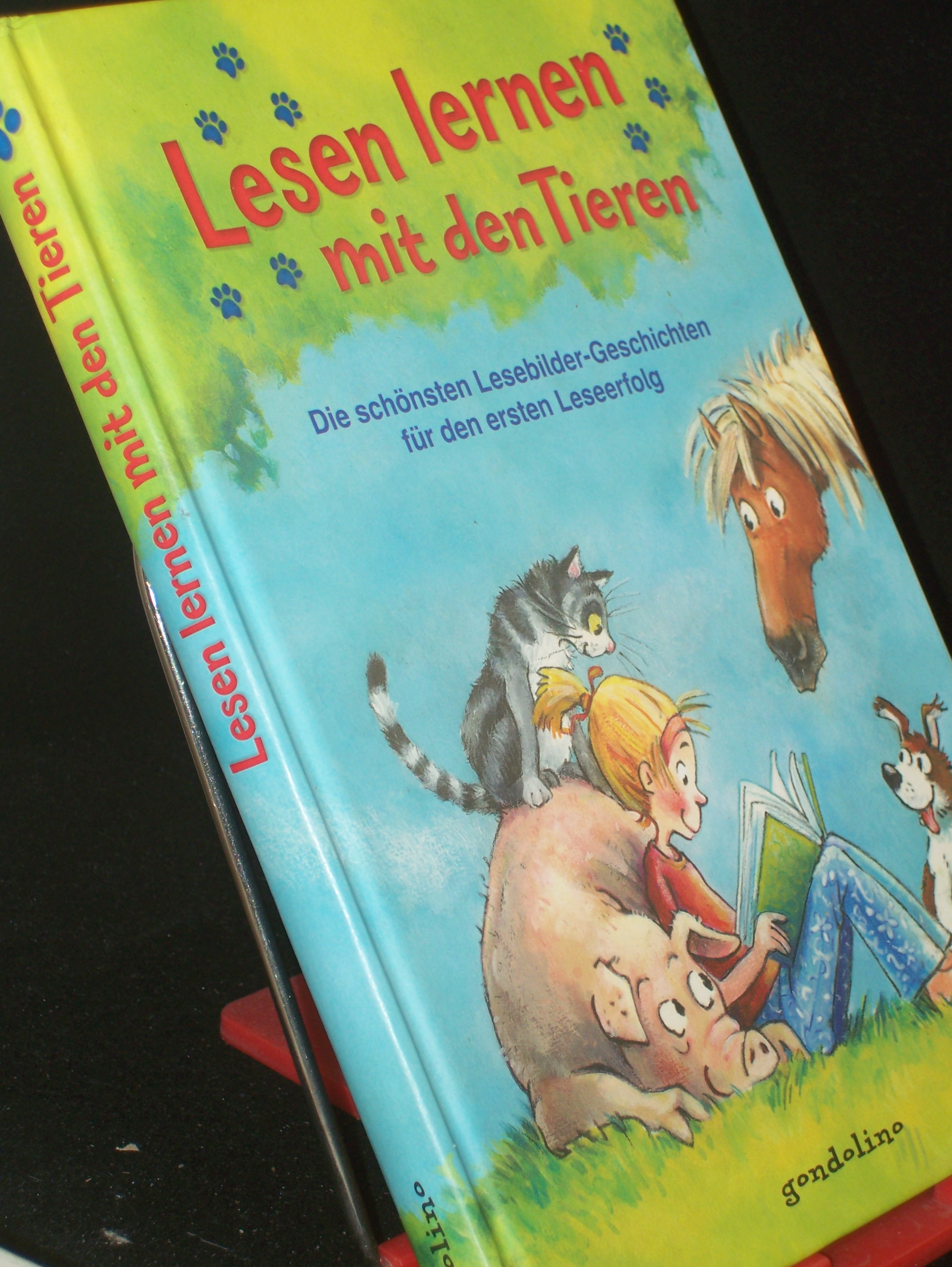 Artikelbild 1 des Artikels “Lesen lernen mit den Tieren / Umschlagill.: Heike Wiechmann “