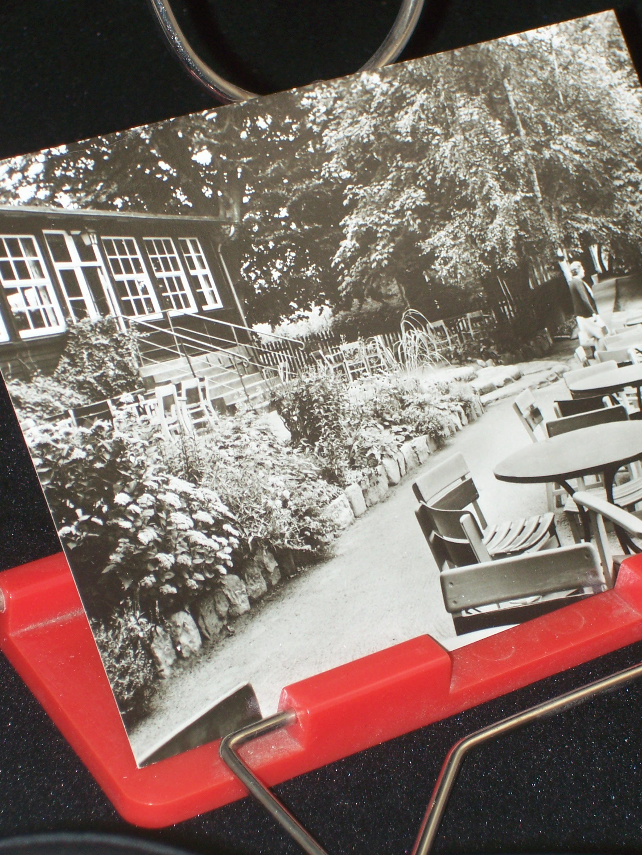 Artikelbild 1 des Artikels “